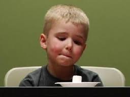 Perspectives in Behavioral Psychology