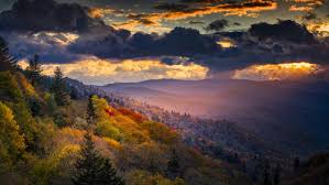 Maybe you would like to learn more about one of these? The Preserve Resort Smoky Mountain Cabins