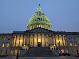 The 1st Congressional District: Eastern NH voters have plenty of options Tuesday