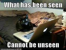 What Has Been Seen Lolcats Lol Cat Memes Funny Cats Funny Cat Pictures With Words On Them Funny Pictures Lol Cat Memes Lol Cats