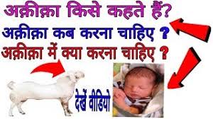 Check spelling or type a new query. Aqiqah Meaning In Hindi
