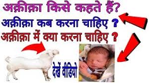 Jab keh 2 mustajabaat mein se ek ko karna chahiye keh in mein se kaunsa mere liye behtar hai. Aqiqah Meaning In Hindi