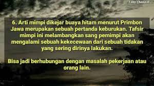 We did not find results for: Best Of Mimpi Dikejar Buaya Free Watch Download Todaypk