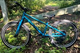 Image result for Black Forest Green 2017 200