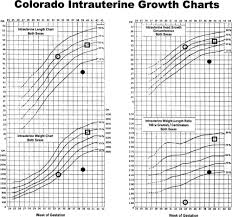 Intrauterine Growth Chart Www Bedowntowndaytona Com