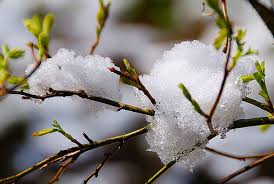 images?q=tbn:ANd9GcTn7Mz5Yj18Avf-OSrYymOvqsgnNo3Sk2A3rJ0OVYe6Sfr9U3pv