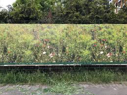 Green Is Hope, and Grass the Future