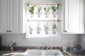 We did not find results for: The Bird And Her Song Indoor Hanging Herb Garden