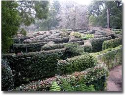 The Skyhigh Maze On Top Of Mt Dandenong Melbourne Australia Australia Travel Melbourne
