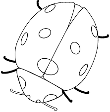 Needless to say the pages would have an abundance of red and black for the insect belonging to the beetle family. Ladybug Coloring Pages Coloring And Malvorlagan