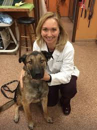 Match made on care.com every 3 minutes, so find your perfect pet care provider today. Loving Care Animal Hospital Palatine Il Palatine Illinois S Best Veterinary Animal Hospital