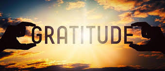Gratitude Stock Photos, Images and Backgrounds for Free Download