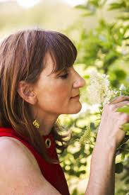 Running a business in a bee-loud glade