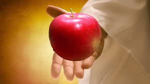 Heart Of Mary: Food For The Gods