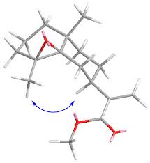 Image result for Calostephane divaricata