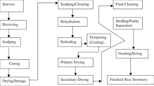 Wild Rice Processing Flow Chart Download Scientific Diagram