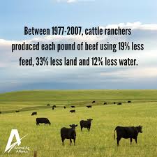 Environmental Impact Of Beef Production In The United States 1977 Compared With 2007 Farm Facts Environmental Impact Environment