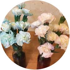 Check spelling or type a new query. Kidsgardening Garden Activity Make A Rainbow Bouquet