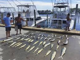 Outer Banks Fishing Guide 10 Species You Might Catch