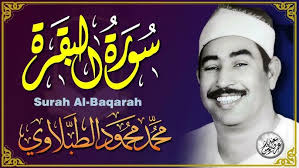 Ashraqat Anwar Mohamed