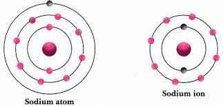 For elements in groups 1, 2 and 3, the number of electrons lost is the same as the group number. Show Diagrammatically The Electron Distribution In A Sodium Atom And A Sodium Ion And Also Give Their Atomic Number Cbse Class 9 Science Learn Cbse Forum
