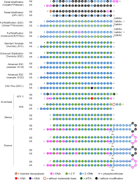 With the magento 2 extra fee extension. Therapeutic Sirna State Of The Art Signal Transduction And Targeted Therapy