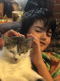 UPDATE Owners found! They managed to entice her out of her hiding space,  thanks everyone for helping! ❗️Is anyone missing a cat?❗️ My family is  staying in Cleveland's above FatFace and found