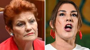 VSDCA 2019-20: Tom Chalkley claims seven wickets