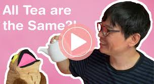 Chagusaba Method: Sustainable Farming Makes for Sweet Green Tea