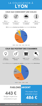 La Colocation A Lyon Lyon Est La Ville De Province Ou Il Y A Le Plus De Personnes En Recherche De Chambres Par Rapport Au N Colocation Colocataire Infographie