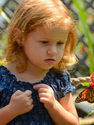 Panhandle Butterfly House in Navarre opens for the season