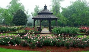White garden flowers atlanta ga. 10 Best Gardens To Visit In Georgia Official Georgia Tourism Travel Website Explore Georgia Org
