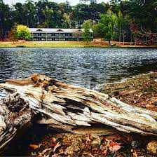 Roosevelt state park in morton is rated 8.2 of 10 at campground reviews. Mdwfp Roosevelt