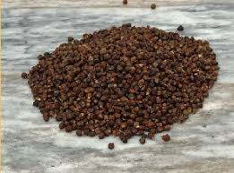 Image result for Aframomum mala