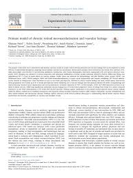 Black and white kitchen table nonexudative amd download for pc. Pdf Primate Model Of Chronic Retinal Neovascularization And Vascular Leakage