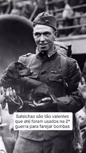 🐶 - Farejar bombas??? Como assim??? , O nariguinho da nossa mascotinho foi feito só pra farejar petiscos e cobertinhas quentinha! 😅, #lhveterinaria #mascote #pets #ituporanga #dachshunds