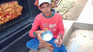 Maybe you would like to learn more about one of these? Cara Dan Bahan Membuat Pulut Super Lengket Dijamin Burung Yang Nempel Tidak Bisa Lepas Youtube