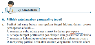 Uji kompetensi hal 224 226 no 6 9 pg ipa kelas 8 semester 2 tolong. Jawaban Buku Ipa Kelas 8 Uji Kompetensi Bab 8 Hal 76 78 Berikut Ini Yang Bukan Merupakan Fungsi Jagotutorial