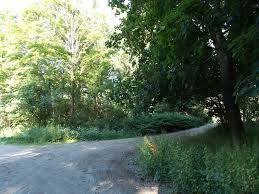 Jul 15, 2021 · mls number 234648. Sold Lot 65 Iroquois St Lanesborough Ma 01237 19 000