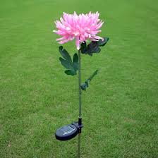 Description:add some color to your outdoor space with these pretty butterfly and chrysanthemum stake lights. Led Chrysanthemum Flower Stake Light Solar Energy Rechargeable For Outdoor Garden Patio Pathway Porch Backyard Esg16588 China Solar Light Garden Light Made In China Com