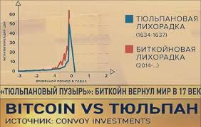 Биткоин за прошедшие сутки подешевел на 6%. Prognoz Stoimosti Bitcoin V 2021 Godu Ejforiya Ili Obval Investing Com