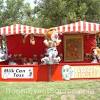 Carnival game rentals, new york | clowns.com. 1
