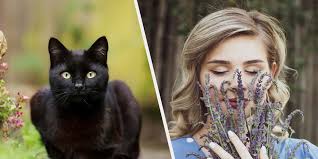 Build A Witch Cottage To See How Many Cats You'll Have