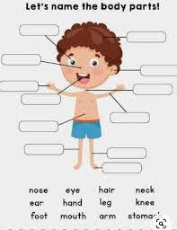 It includes 33 of the most common body parts from the eyes, nose, mouth (forehead, eyelashes, cheek) down to the leg, knee, ankle and toes! Body Parts Online Exercise For 1