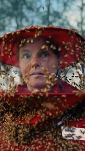 Damien Langdon's Instagram, Twitter & Facebook