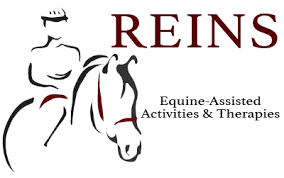 The Benefits Of Equine Therapy Down Syndrome Association Of Wisconsin