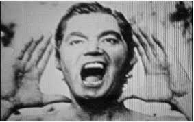 Perfect Sound Forever: 17 Weird Stories about Yodeling