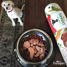 My Freshpetselect Review Is That My Shih Tzu A Super Picky Eater Simply Enjoys This Dogfood Freshpetreviews Dog Food Recipes Food Picky Eaters