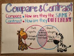 Compare And Contrast Anchor Chart Kindergarten Anchor