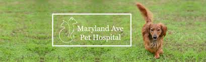 The best care for your pets. Maryland Avenue Pet Hospital Veterinarian St Paul Mn 55117 Home